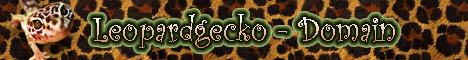 Leopardgecko-Domain
